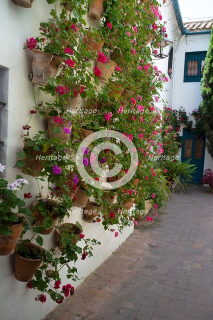 One of the 12 Gardens at the Renaissance Palacio de Viana, Cordoba, Spain, 2023. Creator: Ethel Davies.