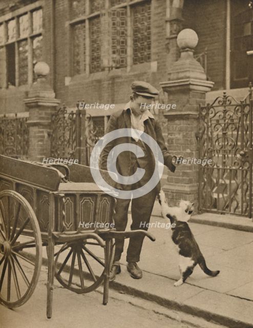 'One of the Best-Established Trades: A Customer and the Cats-Meat Man', c1935. Creator: Donald McLeish.