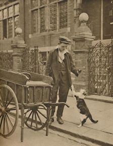 One of the Best-Established Trades: A Customer and the Cats-Meat Man c1935. Creator: Donald McLeish