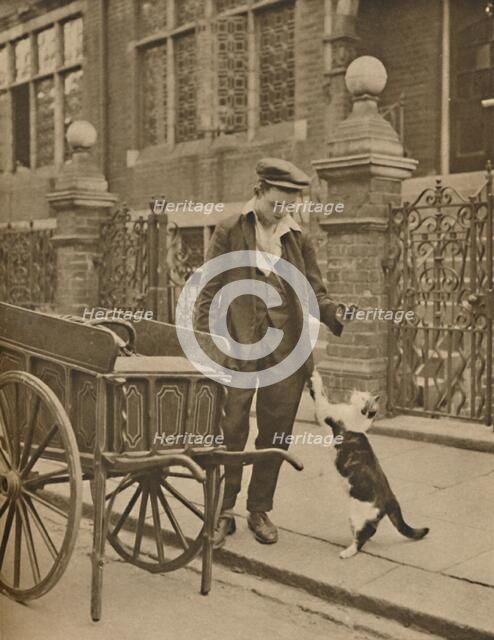 'One of the Best-Established Trades: A Customer and the Cats-Meat Man', c1935. Creator: Donald McLeish.