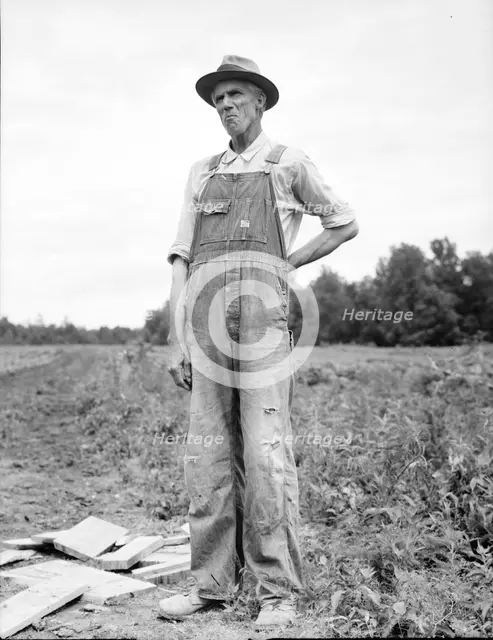 One of the evicted sharecroppers from Arkansas now settled at Hill House, Mississippi, 1936. Creator: Dorothea Lange.