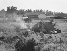 One of the forty potato camps in open field, entering town. Malin, Klamath County, Oregon, 1939. Creator: Dorothea Lange
