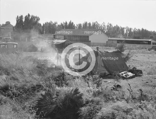 One of the forty potato camps in open field, entering town. Malin, Klamath County, Oregon, 1939. Creator: Dorothea Lange.