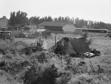 One of the forty potato camps in open field..., Malin, Klamath County, Oregon, 1939. Creator: Dorothea Lange
