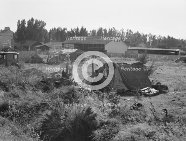 One of the forty potato camps in open field..., Malin, Klamath County, Oregon, 1939. Creator: Dorothea Lange.