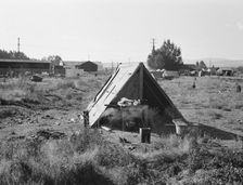 One of the forty potato camps in open field..., Malin, Klamath County, Oregon, 1939. Creator: Dorothea Lange