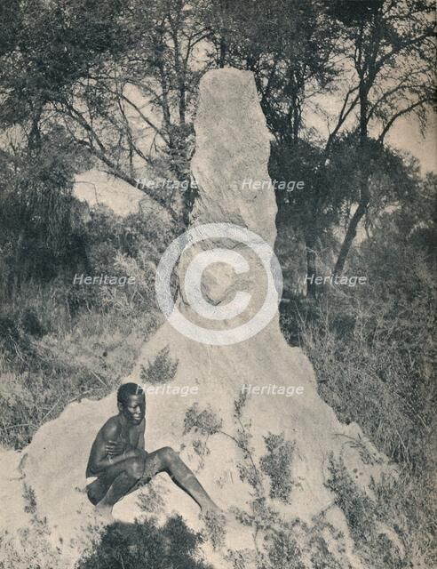 'One of the Giant Ant Heaps peculiar to some districts of South Africa', c1900. Creator: Unknown.