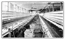 One of the mule-spinning rooms, driven by electricity, Brunswick Mill, Ancoats, 1909. Creator: Unknown