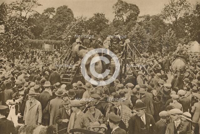 'One of the Signs of Our Civilization: Well-Stocked Zoological Gardens to Delight the Curious', c193 Creator: Unknown.