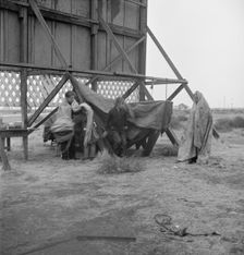 One of three families camped behind a billboard on U.S. 99, Kern County, California, 1938. Creator: Dorothea Lange