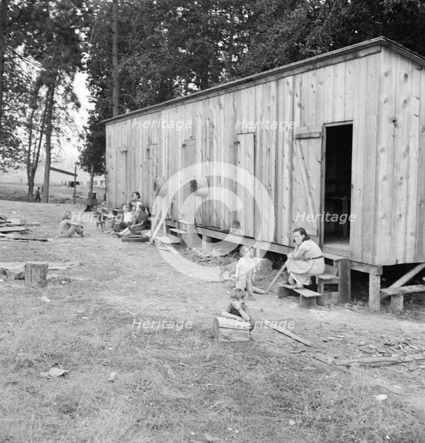 One room per family in rough wooden barracks..., near Grants pass, Josephine County, Oregon, 1939. Creator: Dorothea Lange.
