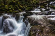 Oneanta Creek. Creator: Joshua Johnston