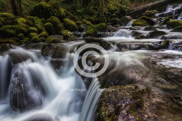 Oneanta Creek. Creator: Joshua Johnston.