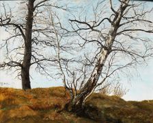 Oak and birch. Our.1832. Creator: Julius von Leypold