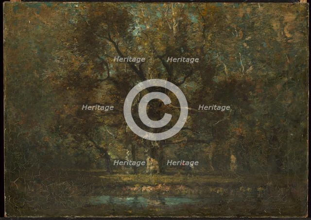 Oak Tree, 1895. Creator: Henry Ward Ranger.