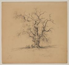 Oak Tree, Kingston, September 7th, 1838, 1838. Creator: John William Casilear