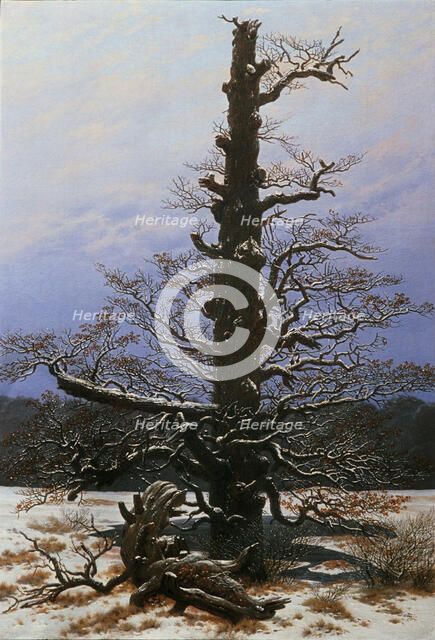 Oak Tree in the Snow. Artist: Friedrich, Caspar David (1774-1840)