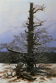 Oak Tree in the Snow. Artist: Friedrich, Caspar David (1774-1840)