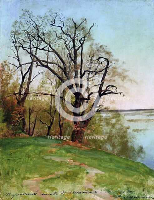 Oak tree on the riverbank, 1887. Creator: Levitan, Isaak Ilyich (1860-1900).