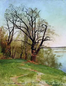 Oak tree on the riverbank, 1887. Creator: Levitan, Isaak Ilyich (1860-1900)