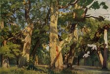 Oak Trees at Eventide 1887, (1965). Creator: Ivan Shishkin