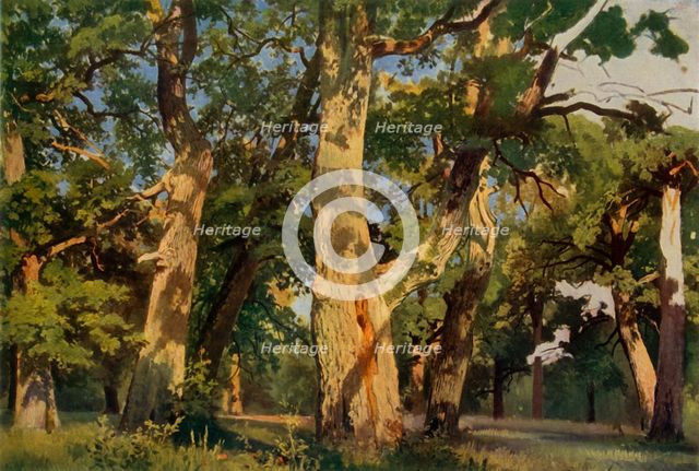 'Oak Trees at Eventide', 1887, (1965). Creator: Ivan Shishkin.