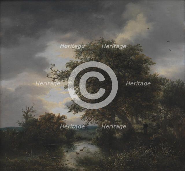 Oak Trees by a Pond, 1643-1682. Creator: Jacob van Ruisdael.