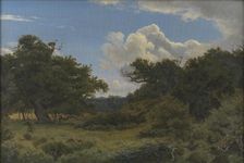 Oak Trees in Nordskoven near Jægerspris, Zealand, 1843. Creator: Peter Christian Thamsen Skovgaard