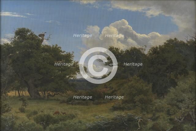 Oak Trees in Nordskoven near Jægerspris, Zealand, 1843. Creator: Peter Christian Thamsen Skovgaard.