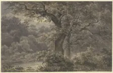 Oak trees in the forest, 19th century. Creator: Johann Wilhelm Schirmer