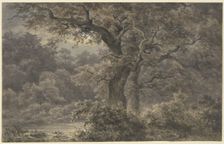 Oak trees in the forest, 19th century. Creator: Johann Wilhelm Schirmer
