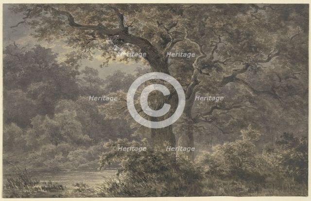 Oak trees in the forest, 19th century. Creator: Johann Wilhelm Schirmer.