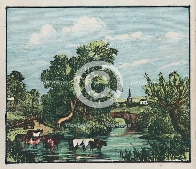 'Oakham', c1910. Creator: Unknown.