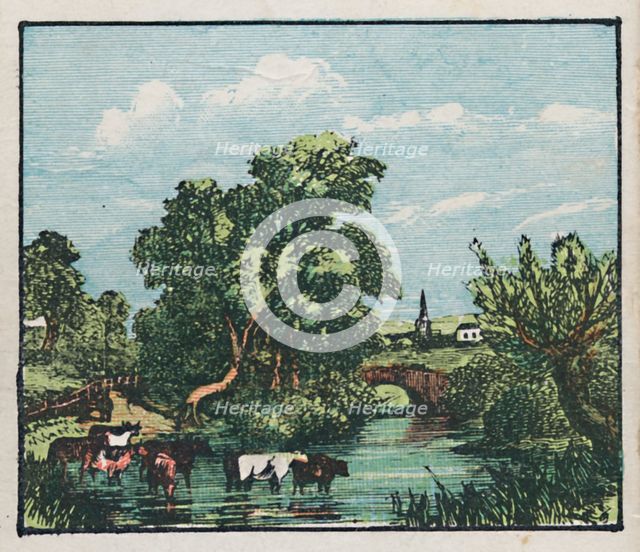 'Oakham', c1910. Creator: Unknown.