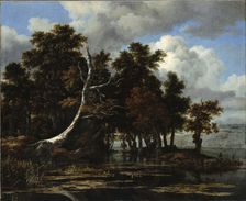 Oaks at a lake with Water Lilies. Artist: Ruisdael, Jacob Isaacksz, van (1628/29-1682)
