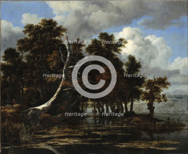 Oaks at a lake with Water Lilies. Artist: Ruisdael, Jacob Isaacksz, van (1628/29-1682)