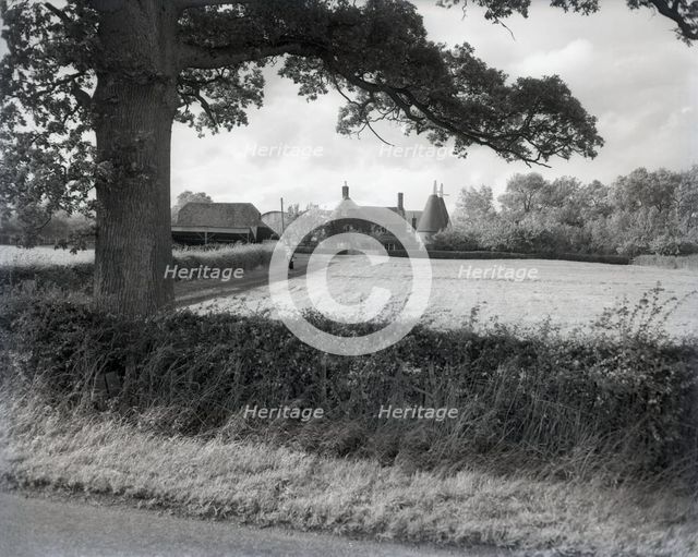 Oast houses near Goudhurst, Kent, c1955. Creator: Arthur Charles Kirby Ware.