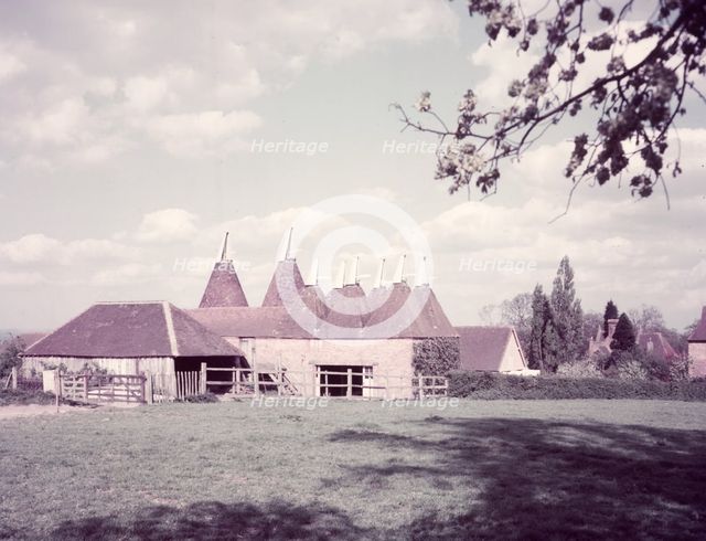 Oast houses, Sissinghurst, Kent, c1955.  Creator: Arthur Charles Kirby Ware.