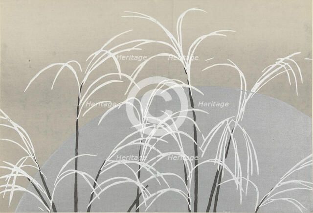 Obana ni tsuki (Pampas grasses and the moon). From the series "A World of Things..., 1909-1910. Creator: Sekka, Kamisaka (1866-1942).