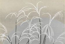 Obana ni tsuki (Pampas grasses and the moon). From the series "A World of Things..., 1909-1910. Creator: Sekka, Kamisaka (1866-1942)