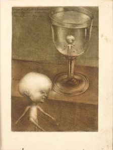 Observations sur l'histoire naturelle, sur la physique et sur la peinture, 1752. Creator: Gautier d'Agoty, Jacques Fabien (1716-1785)