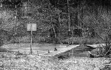 Obstruction on the River Mole, near Esher, 1890. Creator: Unknown