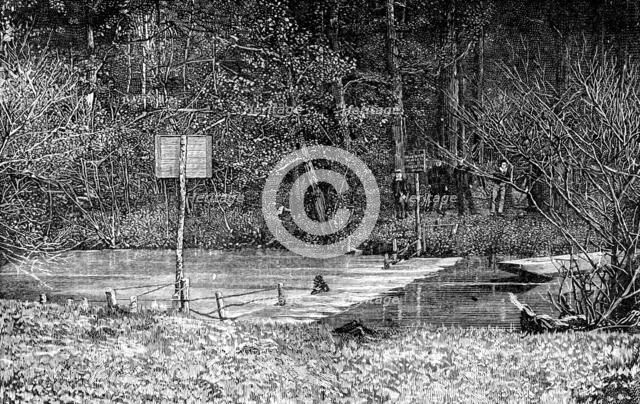 Obstruction on the River Mole, near Esher, 1890. Creator: Unknown.
