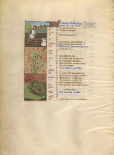 October Calendar Page; Sowing; Scorpio; Katherine Hours, about 1480-1485. Creator: Unknown
