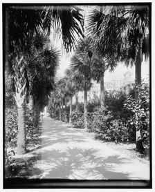 Ocean walk, Palm Beach, Florida, c1902. Creator: William H. Jackson