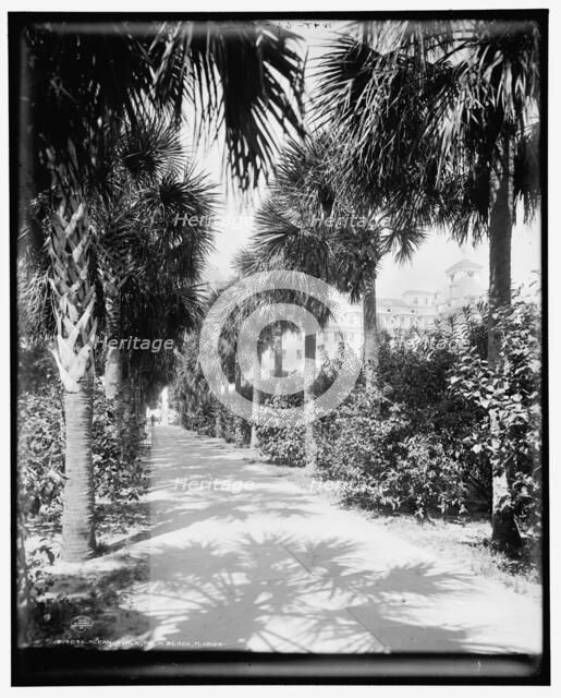 Ocean walk, Palm Beach, Florida, c1902. Creator: William H. Jackson.