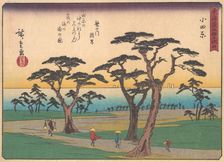 Odawara, from the series The Fifty-three Stations of the Tokaido Road, early 20th century. Creator: Ando Hiroshige