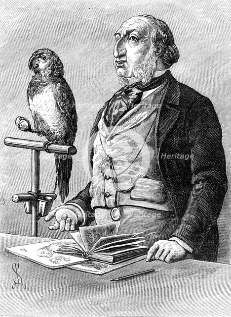 Odd Sketches at the Zoological Gardens: "Birds of a Feather", 1881. Creator: Unknown.