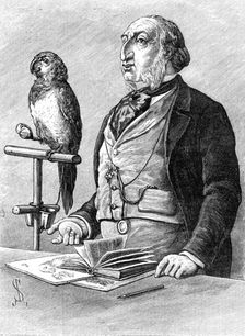 Odd Sketches at the Zoological Gardens: "Birds of a Feather", 1881. Creator: Unknown