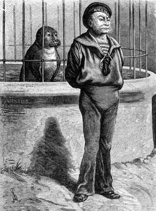 Odd Sketches at the Zoological Gardens: Messmates, 1881. Creator: Unknown